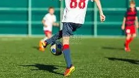 球盟会官方网站入口 资讯 104926 pdi