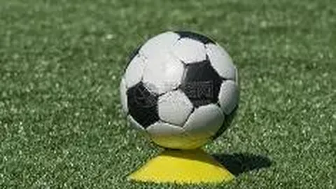 新赛季NBL联赛辐射范围更广